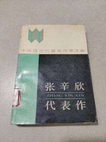 张辛欣代表作