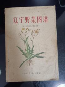 辽宁野菜图谱