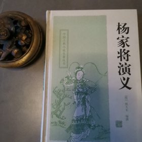 中国古典小说名著丛书：杨家将演义