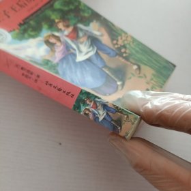 王子王后历险记