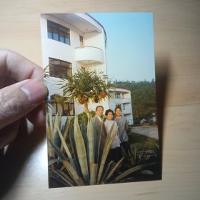 老照片–90年代三人在楼下合影（身旁有聚芦荟、菠萝蜜等植物）
