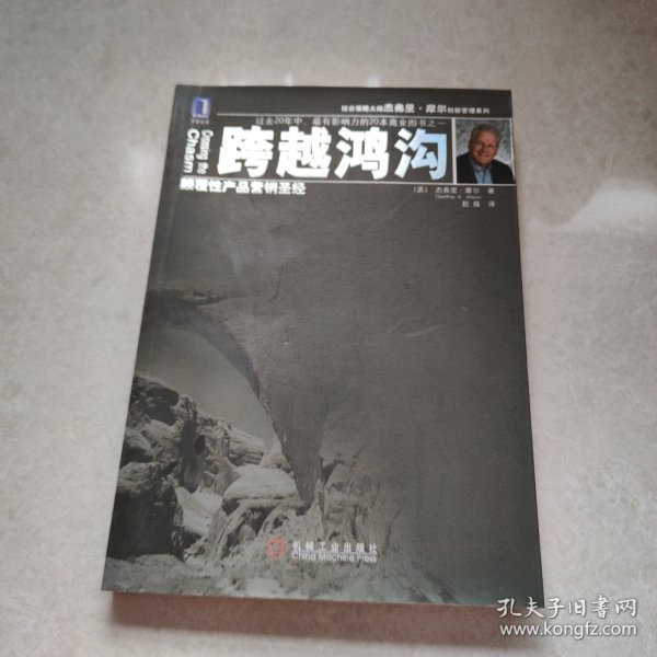 跨越鸿沟：颠覆性产品营销圣经