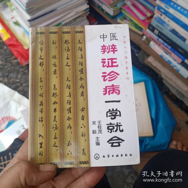 中医辨证诊病一学就会