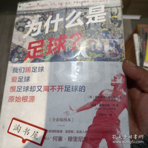 为什么是足球？我们踢足球、爱足球、恨足球却又离不开足球的原始根源