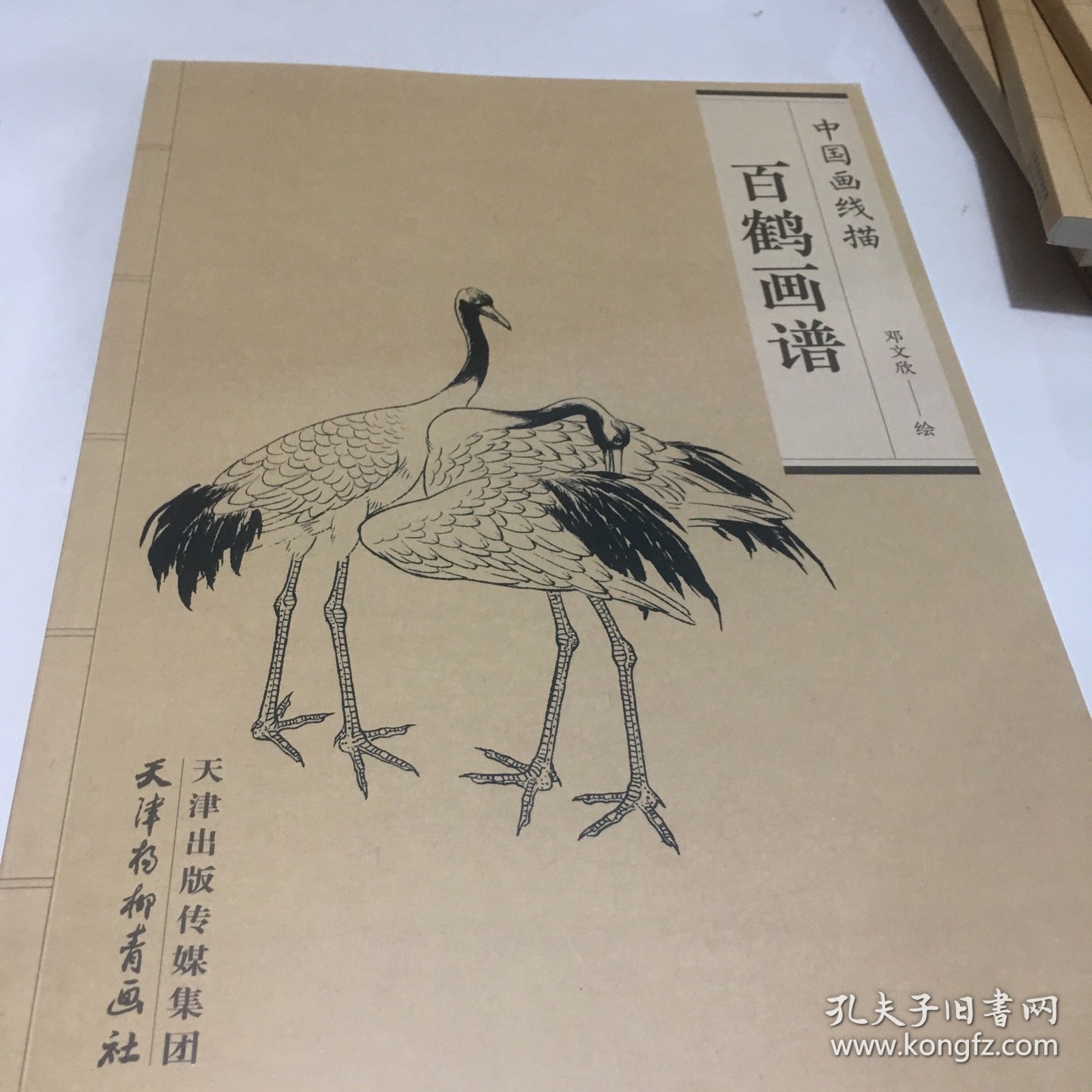 中国画线描 百鹤画谱