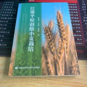 江淮平原弱筋小麦栽培