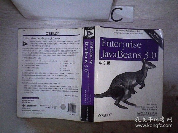 Enterprise JavaBeans 3.0中文版