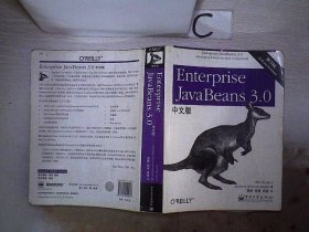 Enterprise JavaBeans 3.0中文版