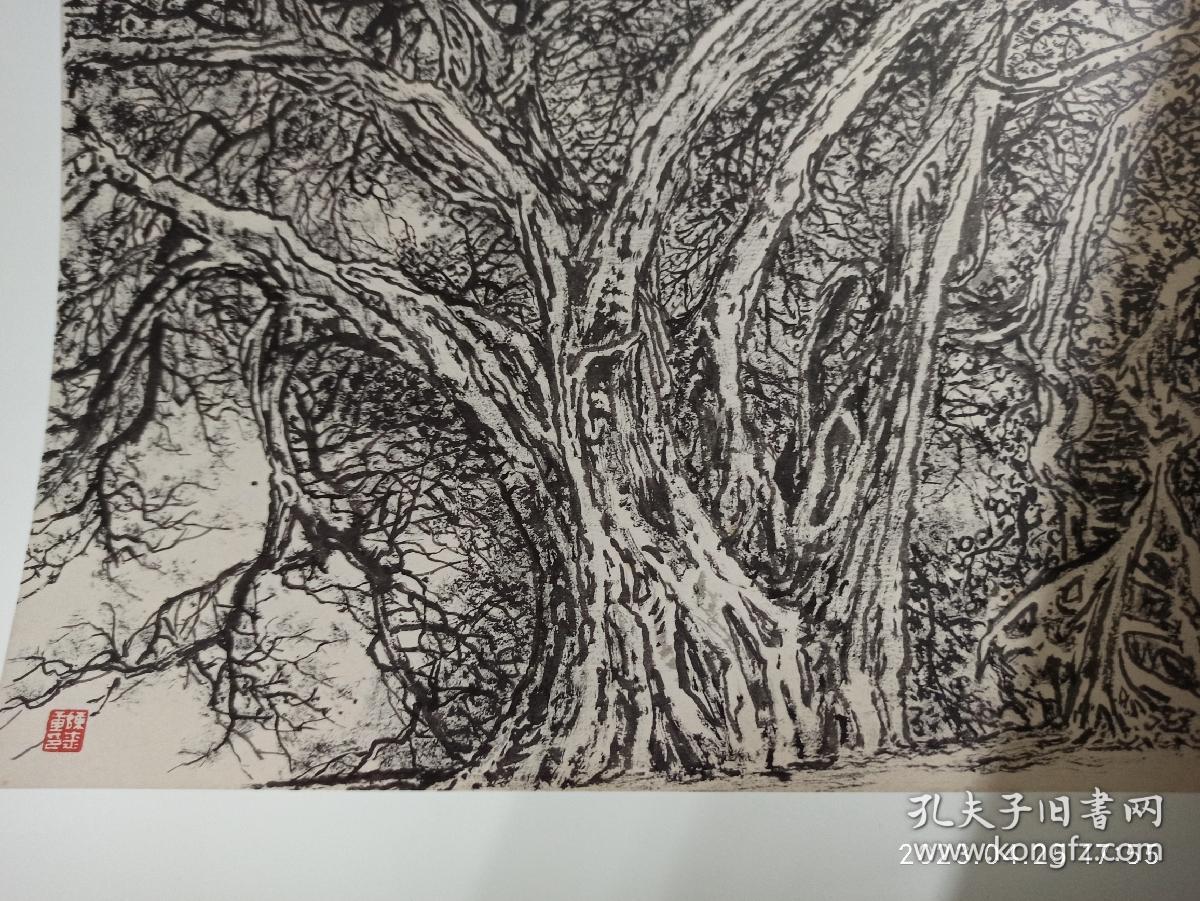 赏心    陈金章作品精选