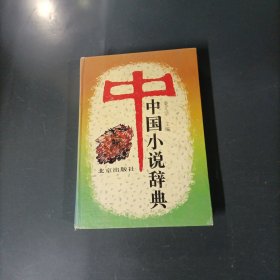 中国小说辞典 （一版一印）（货az60）