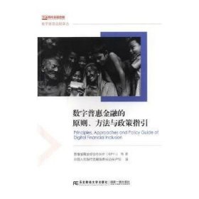 数字普惠金融的原则、方法与政策指引/数字普惠金融译丛