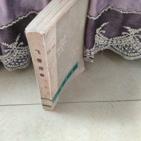 飞雪迎春