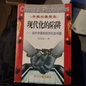 现代化的陷阱：当代中国的经济社会问题