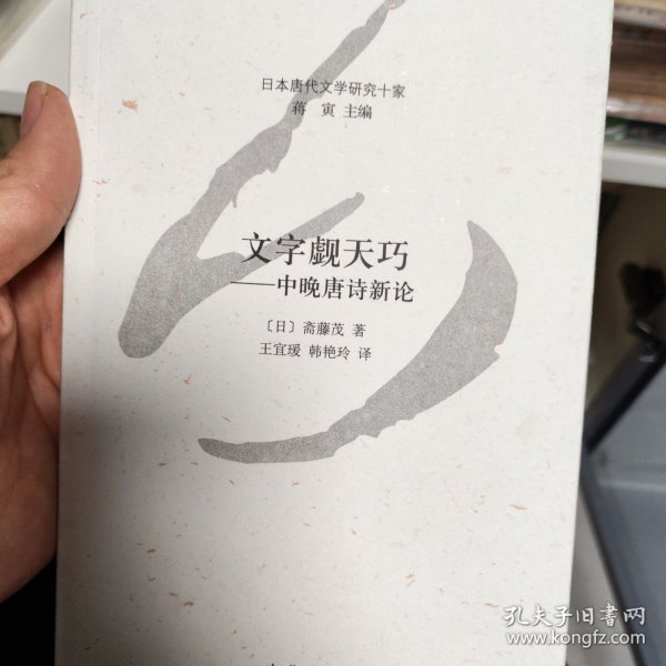 文字觑天巧：中晚唐诗新论