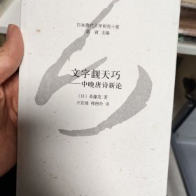 文字觑天巧：中晚唐诗新论