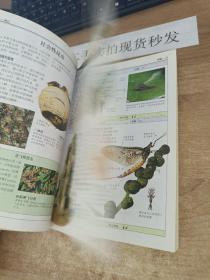 昆虫：全世界550多种昆虫、蜘蛛和陆生节肢动物的彩色图鉴