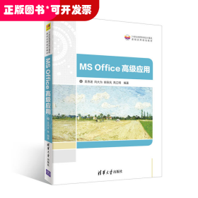 MS Office高级应用