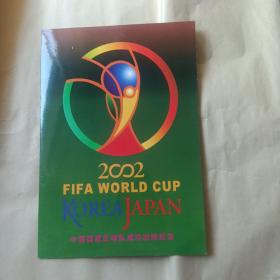 2002中国国家足球队成功出现纪念