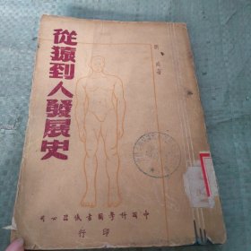 從猿到人發(fā)展史