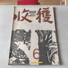 收获1988 6