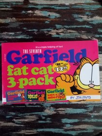 garfield fat cat 3 pack 加菲猫漫画