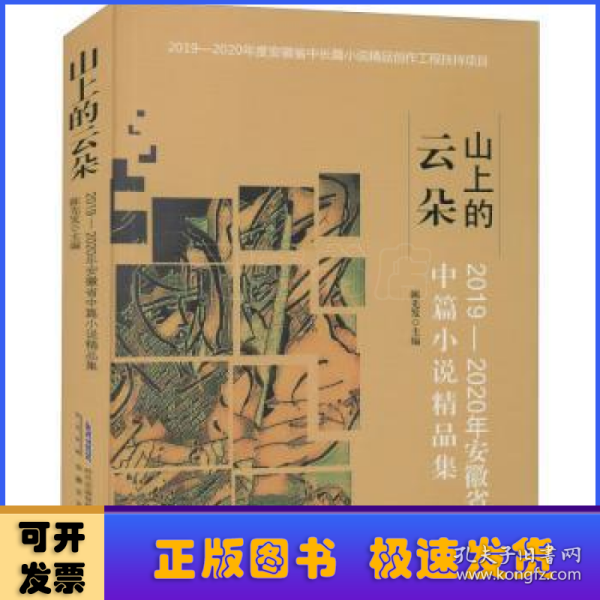 山上的云朵：2019—2020年安徽省中篇小说精品集