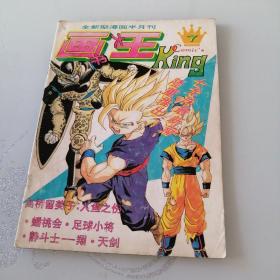 画王大书  1993年第7期