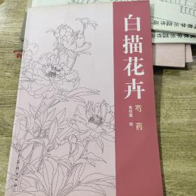 白描花：芍药