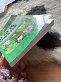 中草药辨识图谱与应用