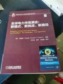 全球电力市场演进：新模式、新挑战、新路径
