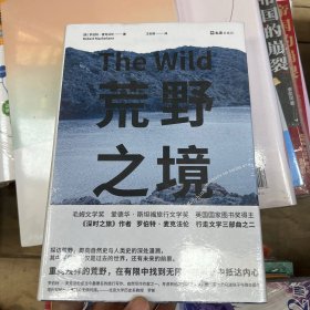 荒野之境