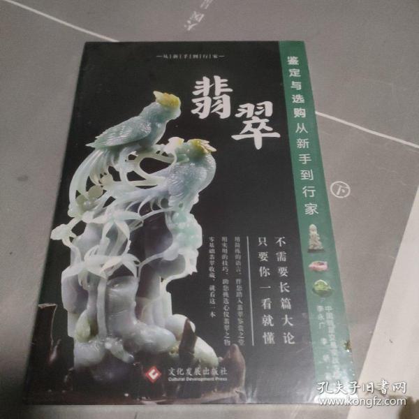 翡翠鉴定与选购从新手到行家