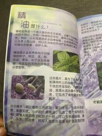 现代精油葵花宝典