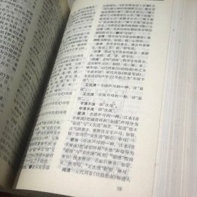 中国语言学大辞典