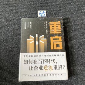 重启：如何在低迷的经济环境下，让经历挫折的企业逆流重启？