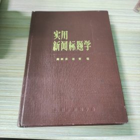 实用新闻标题学