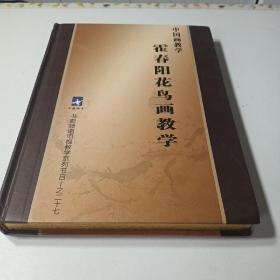 DVD 中国画教学 霍春阳花鸟画教学 14碟 精装