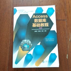 Access数据库基础教程