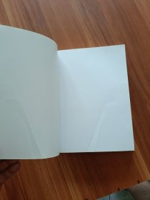 比较行政法学（第二版）