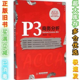 P3 商务分析