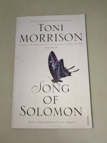 TONI MORRISON SONG OF SOLOMON 托尼·莫里森所罗门之歌