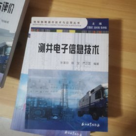 地球物理测井技术与应用丛书：测井电子信息技术