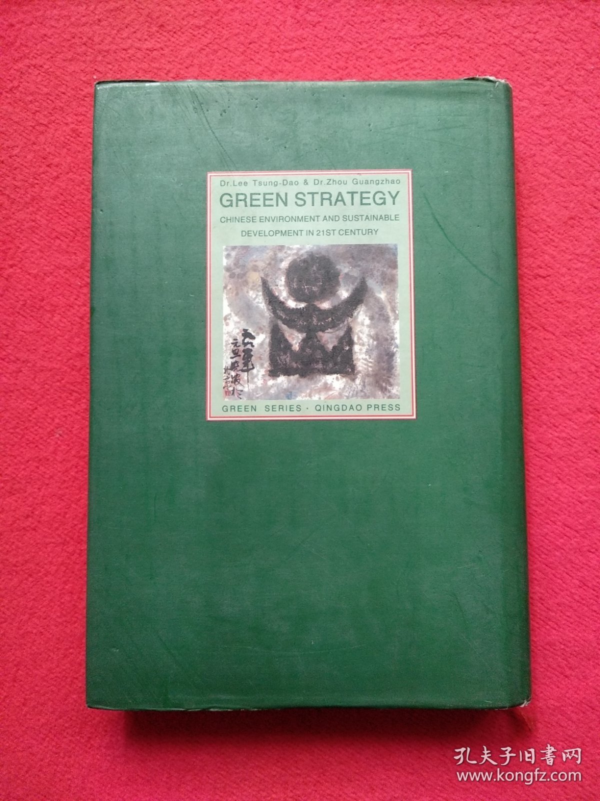 绿色战略:21世纪中国环境与可持续发展