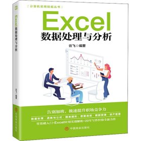 保正版！Excel数据处理与分析9787520815260中国商业出版社云飞 编