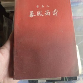暴风雨前