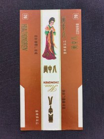 画中人.