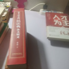 中华人民共和国民法典条文要义