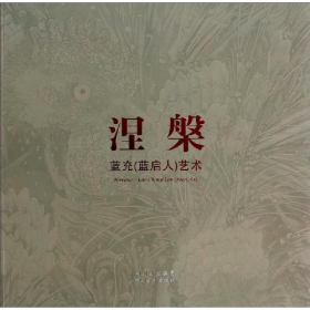 涅槃-藍(lán)充藍(lán)啟人藝術(shù)藍(lán)充四川美術(shù)出版社9787541055393