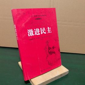 激进民主