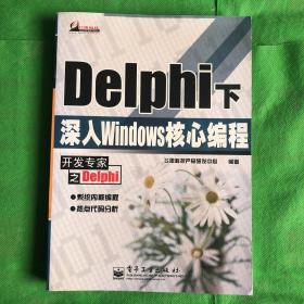 Delphi下深入Windows核心编程
（书脊书角有破损划线版权页脱胶黄斑）